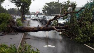 Traffic jams caused by fallen trees during a storm in Durban, South Africa October 10, 2017