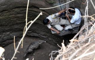 Forest officers rescue a hyena stuck in a well in 2013 in Nashik's Yevala village
