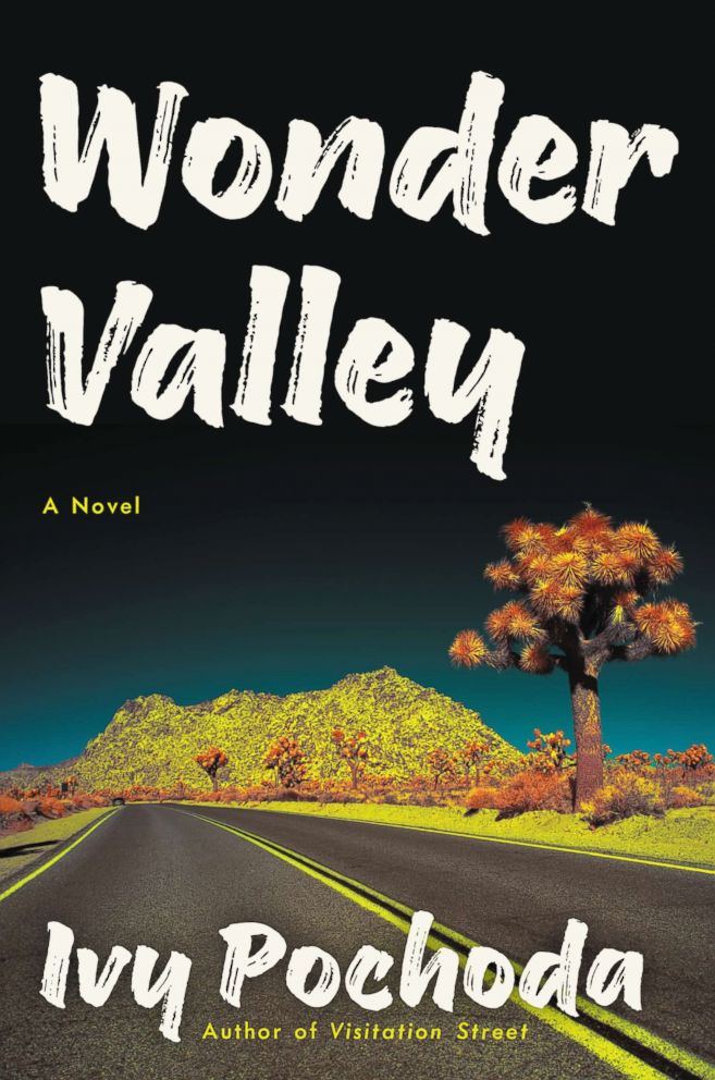 PHOTO: The cover for Wonder Valley by Ivy Pochoda is pictured here.