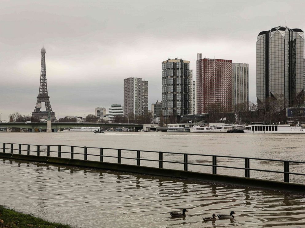 PHOTO: Ducks swim on the flooded banks of the river Seine in Paris, Jan. 23, 2018.