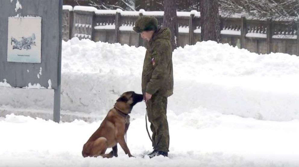 PHOTO: The one-minute video that the Russian Ministry of Defense released that shows Dogs from the 470th Dog Breeding Center outside Moscow. Dozens of puppies are shown and older dogs are shown playing with unidentified officers.