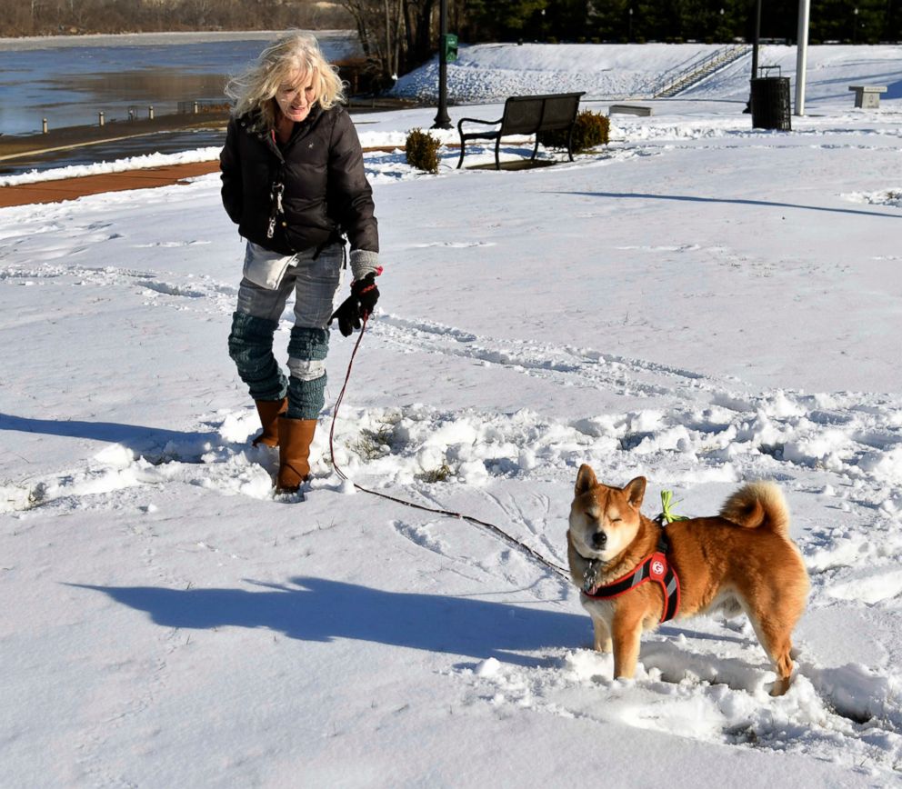 PHOTO: Carol Dahms and her dog Shogun, a Shiba Inu breed trained service dog, walk in the snow at the Riverport Park, Jan. 19, 2018 in Ashland, Ky. 