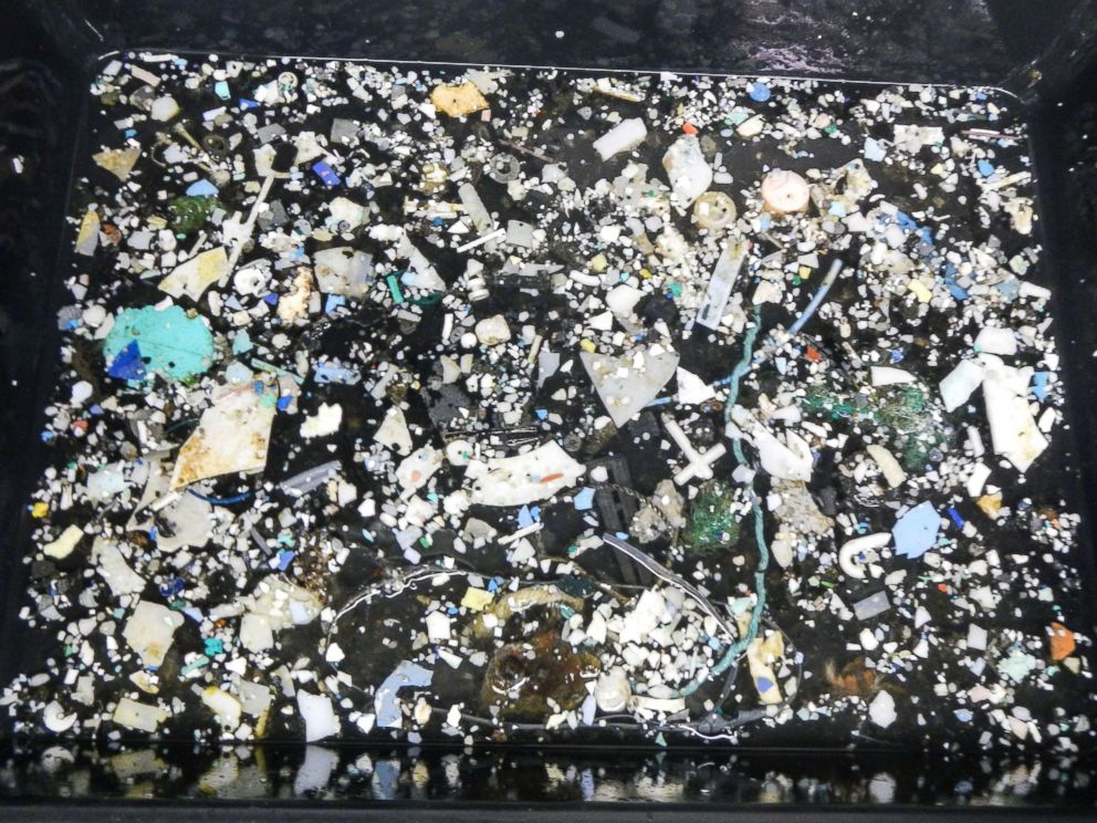PHOTO: A photo made available by The Ocean Cleanup on 23 March 2018 shows plastic samples pulled from the ocean at the Great Pacific Garbage Patch (GPGP), located between halfway between Hawaii and California.