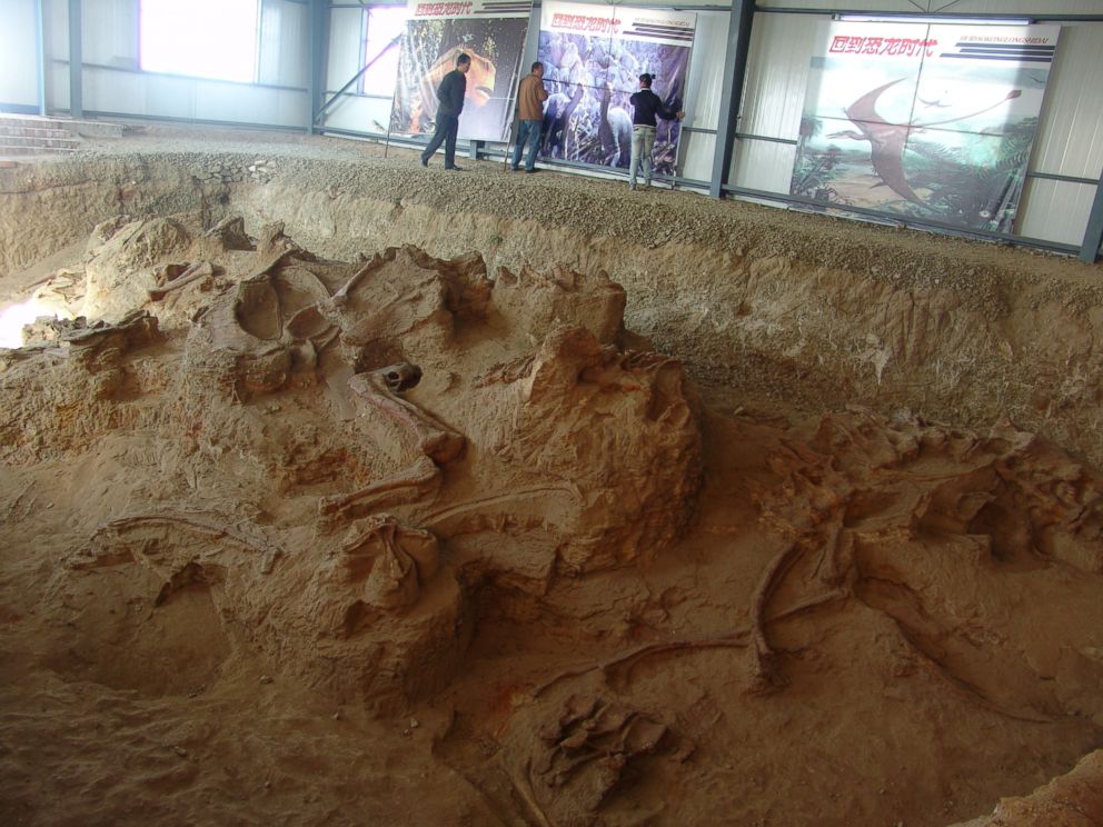 PHOTO: One of the four quarries producing fossils of Lingwulong, a newly discovered dinosaur unearthed in northwestern China is seen in this image provided July 24, 2018.
